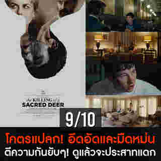 หนังระทึกขวัญ netflix
